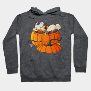 Autumn manatee - manatee with sleep mask bathing in pumpkin full of leaves, surrounded by mushrooms Hoodie